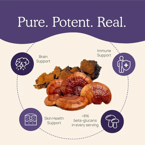 Vista 8 de Real Mushrooms Paquete de vitamina D2, zinc, chaga, reishi (120 unidades) y Cordyceps-M (120 unidades) – Apoyo inmunológico natural, energía