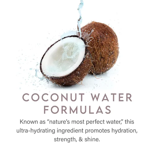 Vista 5 de ALURAM Champú hidratante de agua de coco para hombres y mujeres, hidratación limpia y brillo para cabello texturizado medio a grueso, 33.8 onzas
