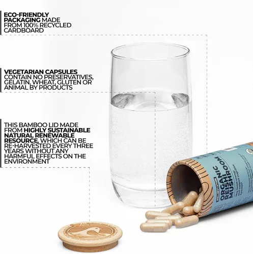 Vista 2 de Cápsulas de suplemento de hongos orgánicos Reishi Extracto de ganoderma, suplemento de apoyo inmunológico Aumenta la energía, combate la fatiga