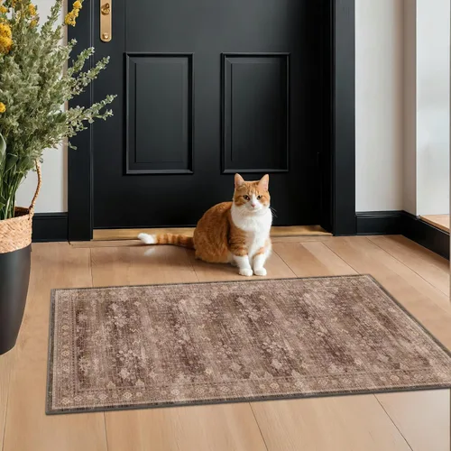 Vista 191 de Hazo Haus – Alfombra pequeña para entrada, cocina o baño, antideslizante con base de goma, resistente a las manchas y a la decoloración, diseño