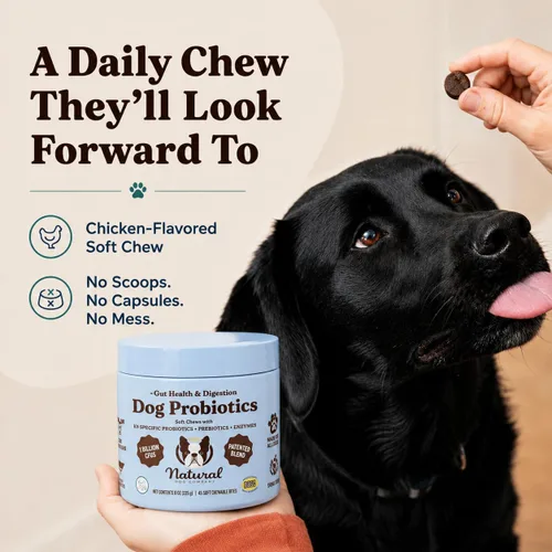Vista 7 de Natural Dog Company - Masticables probióticos para perros, 45 unidades, suministro para 6 semanas