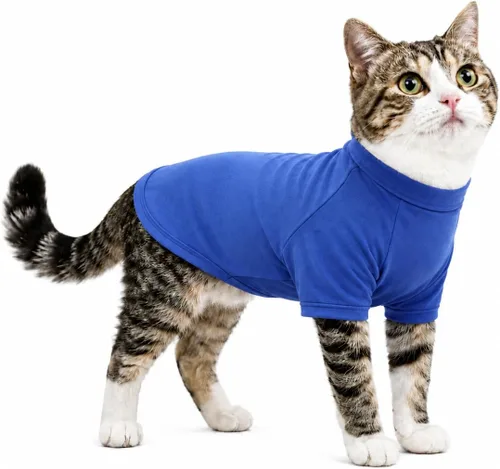 Vista 46 de Lovelonglong Sudadera para perro, otoño, invierno, clima frío, camisetas para perros pequeños, medianos y grandes, ropa de chihuahua, color negro, XS