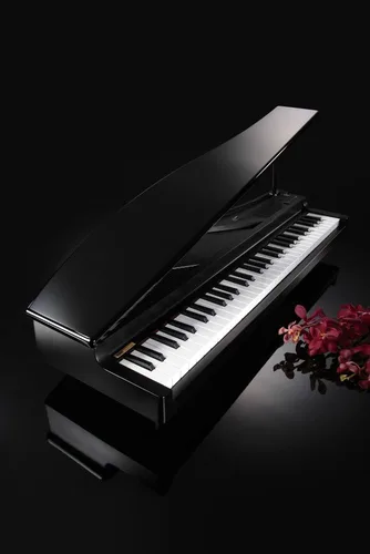 Vista 4 de Korg microPiano 61 - Key Minature Grand Piano, Negro
