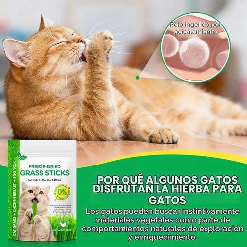 Vista 7 de ISUNRISE Palitos de hierba para gatos de 2.12 oz/2.12 onzas, deliciosas golosinas de hierba para gatos liofilizadas, comestibles, juguete