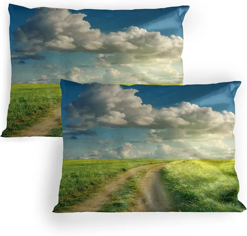 Vista 27 de Lunarable Nature Pillow Sham Set of 2, Sunset in a Winter Park Russia Sun Rays Through Trees Pathway to Forest, Quality Microfiber Bedding Item for