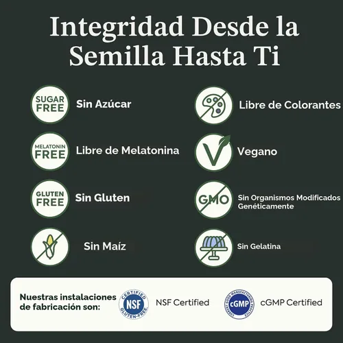 Vista 7 de Plant People WonderSleep - Suplemento de gomitas de hongos para dormir, sin melatonina con súper hongos Reishi, sabor a saúco salvaje, sin azúcar