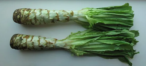 Vista 3 de Semillas lechuga espárragos Ensalada Uysun