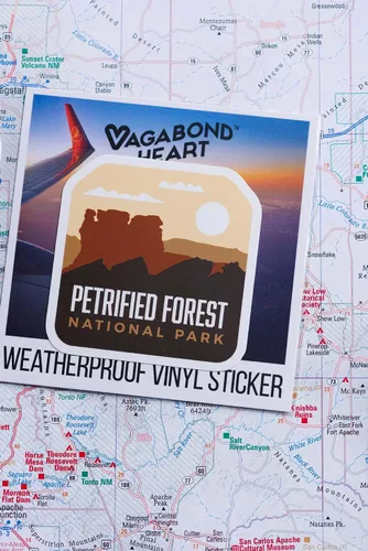 Vista 9 de Paquete del Parque Nacional del Bosque Petrificado - Parche de viaje y calcomanía de vinilo