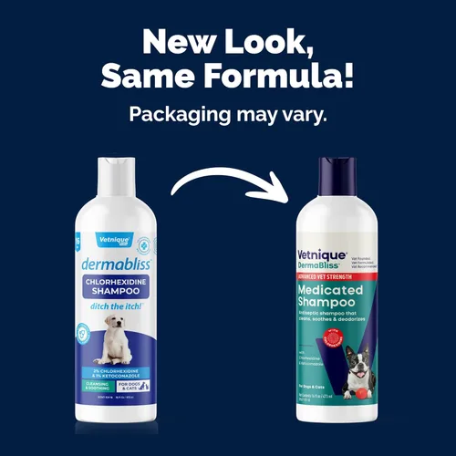 Vista 2 de Vetnique Dermabliss Champú medicado para gatos y perros, clorhexidina