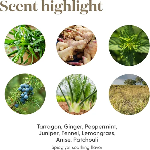 Vista 6 de Vitality Digize - Aceites esenciales Young Living (0.2 fl oz)