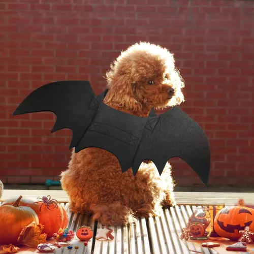 Vista 7 de Rypet - Disfraz de murciélago para perro, disfraz de mascota de Halloween, alas de murciélago para gatos y perros, XS