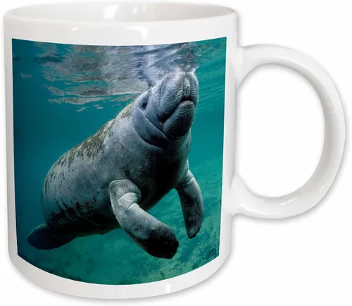 Vista 8 de 3dRose, Taza negra bicolor de 11 oz, negro/blanco