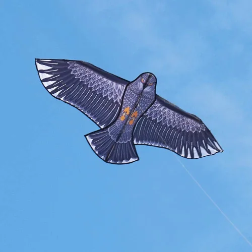 Vista 2 de Besra Cometa de pájaro fénix con cola larga, para deportes al aire libre, para playa y parque Águila de 74 pulgadas