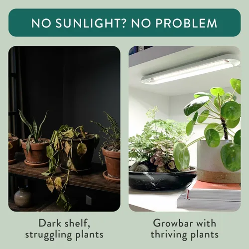 Vista 6 de Modern Sprout Smart Growbar V2 - Luz LED de cultivo para plantas de interior, espectro completo debajo del gabinete, luz de crecimiento