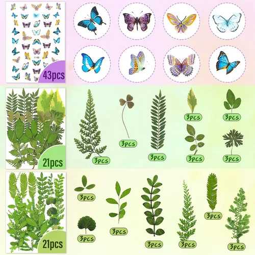 Vista 4 de Nuanchu Juego de 223 flores secas prensadas reales para manualidades, hojas secas naturales y calcomanías de mariposa, flores de margaritas