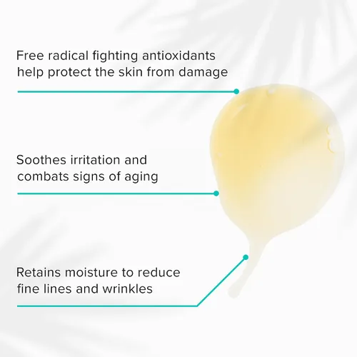 Vista 2 de ClarityRx Take Care - Suero facial antioxidante diario de té rojo, tratamiento facial hidratante y antienvejecimiento natural a base de plantas