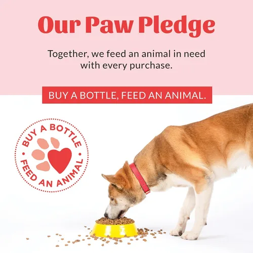 Vista 9 de Skout's Honor Spray probiótico para patas para perros, certificado para microbiomas, sin alcohol, sin fragancia y sin medicamentos, apoya la piel
