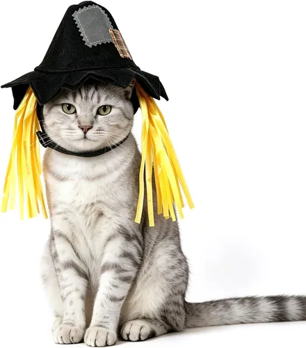 Vista 8 de NAMSAN Disfraz de marinero para mascotas, perros pequeños, conejos, sombrero de marinero de gato de Halloween con cuello de corbata, capa de Blanco