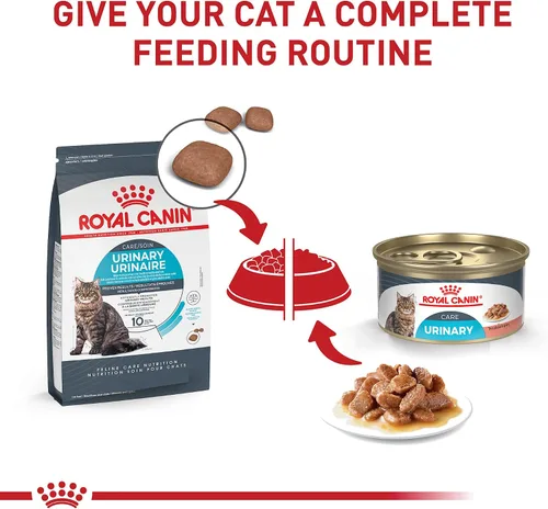 Vista 5 de Royal Canin Feline Care Nutrition Urinary Care - Alimento para gatos en salsa, 3 onzas (paquete de 6)