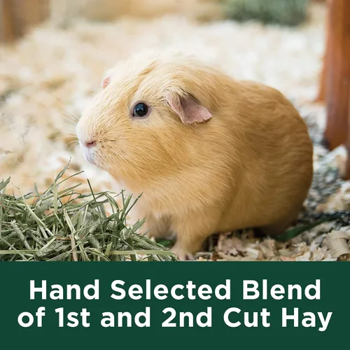 Vista 5 de Alimento para mascotas con zanahoria de heno de Fleo de Kaytee, Verdes