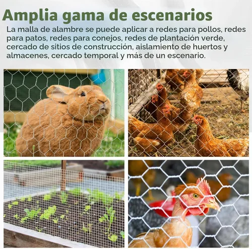 Vista 7 de HOSTIC 6 pies x 150 pies de malla de alambre de pollo de 2 pulgadas, malla hexagonal galvanizada para valla de jardín de aves de corral