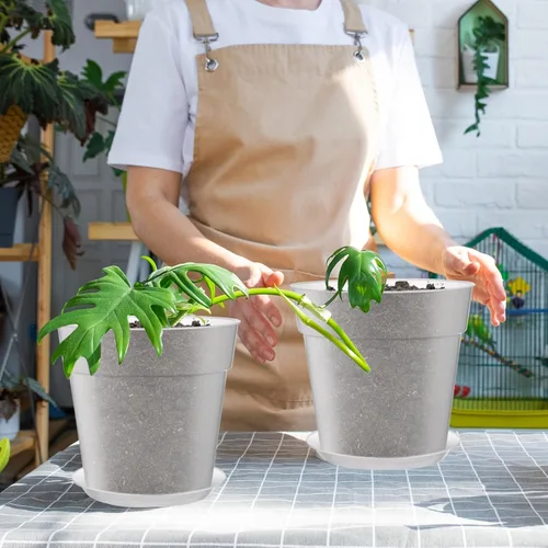 Vista 4 de Baderke 3 Pack Clear Nursery Pot,9.25 Inches