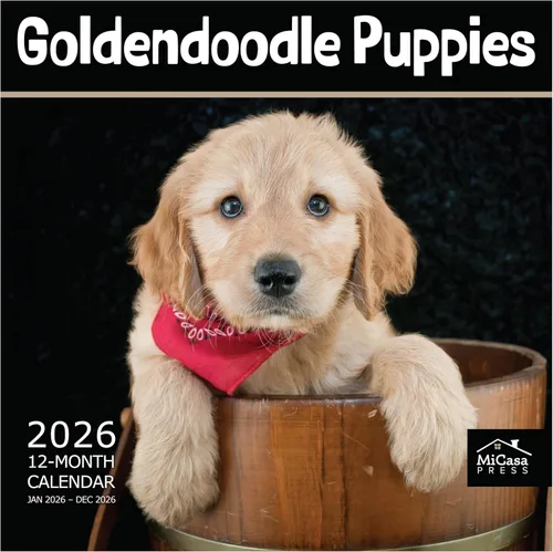 Vista 93 de MICASA PRESS Calendario de pared de Australian Shepherds Aussies 2027 02 - Pastores australianos