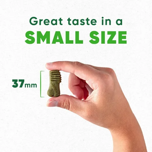 Vista 3 de Greenies Anytime Bites Bundle Blueberry, Orginal, Mint Flavors bolsa de 10.3 onzas (195 golosinas en total)