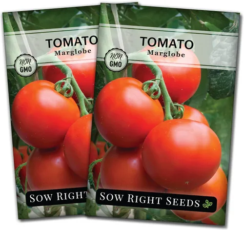Vista 7 de Sow Right Seeds - Semillas de tomate Marglobe para plantar - Paquete de reliquia sin OMG con instrucciones para plantar y cultivar un huerto casero