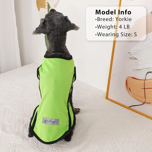 Vista 2 de Paquete de 2 ropa para perro, camisas para perros pequeños, chaleco de secado rápido para perros y niñas, camiseta para cachorros con tira Verde