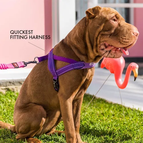 Vista 7 de Arnés ajustable para perro de EzyDog, XXS, Negro Fast One-Click Buckle, Adjustable Fit, Strong Reinforced Materials, Reflective Stitching, No Pull