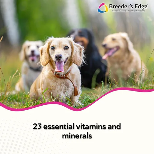 Vista 2 de El borde del criador en el medio para ella, suplemento multivitamínico diario para la cría de perros y gatos, llena los vacíos nutricionales y apoya