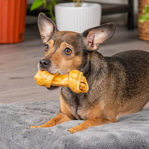 Vista 6 de Pet Factory Golosinas masticables para perros, 100% fabricadas en Estados Unidos, huesos anudados de 4 pulgadas, sabor a pollo, 18 unidades/1 paquete