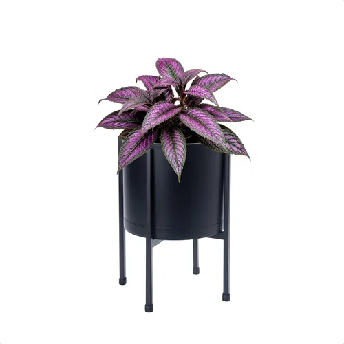 Vista 7 de D'vine Dev - Maceta de plástico con soporte de metal, color negro, 8 pulgadas, 55-D-B-1 Modern Elevated Design, Heavy-Duty Solid Iron Stand