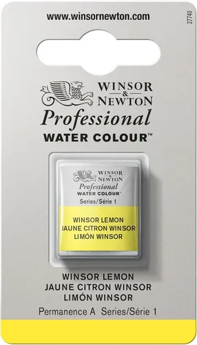 Vista 250 de Winsor & Newton - Pintura para acuarela profesional