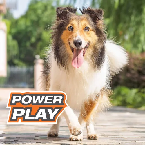Vista 10 de Nylabone Power Play Gripz Pelota de fútbol de fieltro con cuerda de agarre de goma, pelota con pito para perros, mediana (1 unidad)