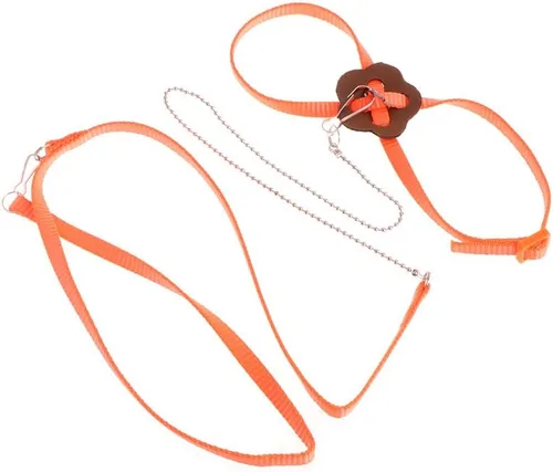 Vista 7 de Adjustable Bird Harness 3.94 Ft Long Leash Kit Outdoor Flying Training Rope for Small Birds Parrots Anti Toys African Grey for Small Parrots for