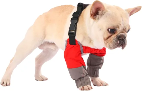 Vista 13 de PetWarm Fundas para patas de perro, impermeable, protector de codo y rodilla de recuperación, par antilamidas para perros pequeños, protección Azul