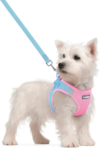 Vista 100 de rabbitgoo Arnés para perro de tamaño pequeño y juego de correa, chaleco Cachorros de manzana