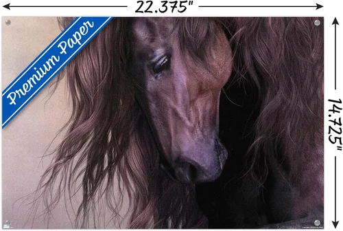 Vista 3 de Trends International Laurie Prindle - Equus Wall Poster with Push Pins