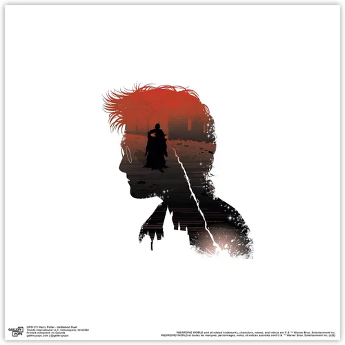 Vista 9 de Trends International Gallery Pops Harry Potter - Póster de pared Voldemort Duel de 12.00 x 12.00 pulgadas, versión de marco negro