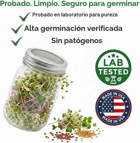 Vista 4 de Todd's Seeds Mezcla de semillas para germinar; Brócoli, rábano, alfalfa, sin OMG, libres de químicos, alta germinación (1/4 libra)