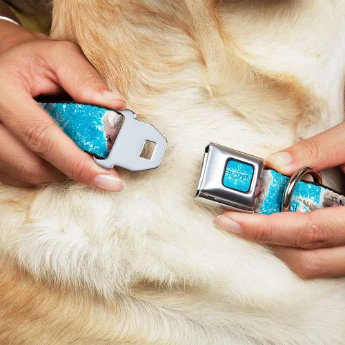 Vista 8 de Buckle-Down Collar de perro con hebilla de cinturón de seguridad, cara de Elsa congelada, postura de acción, copos de nieve, azul, blanco, 1.5