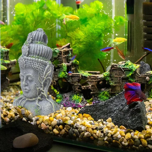 Vista 2 de Hamiledyi Estatua de cabeza de Buda para decoración de acuario, escondite de peces de resina, cueva de Betta para pecera grande, adornos