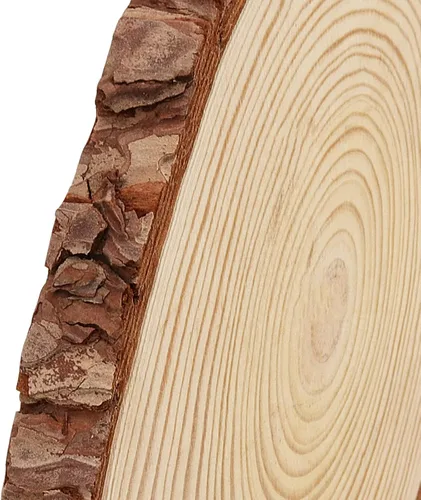 Vista 8 de KEILEOHO 8 piezas de rebanadas de madera natural de 8 a 9 pulgadas, círculos de madera de corteza de árbol para artes y manualidades, discos