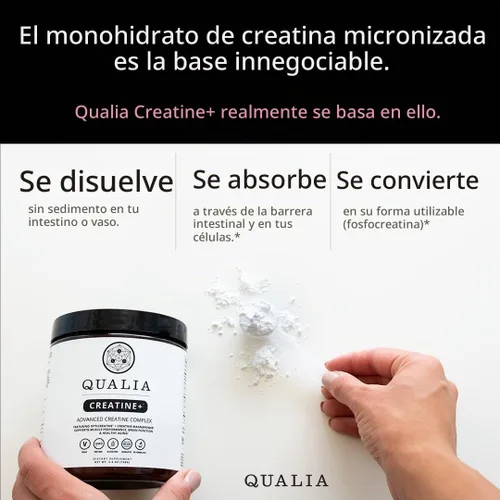Vista 2 de Qualia Creatine Complejo Avanzado de Creatina 2 Fuentes + Magnesio Absorción Optimizada Rendimiento Muscular, Función Cerebral