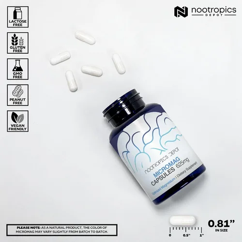 Vista 3 de Nootropics Depot MicroMag - Cápsulas de magnesio 625 mg 30 unidades Contiene 200 mg de magnesio elemental