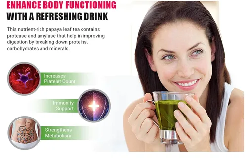 Vista 9 de Té de hoja de papaya de 8 onzas, secado de hojas verdes frescas, bueno para hacer té, hojas 100% sueltas (sin fruta, sin semillas) – Way4Organic