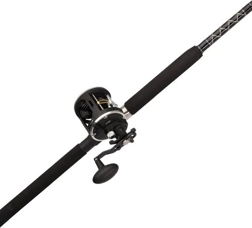 Vista 13 de Penn Rival II Level Wind Conventional Rod and Reel Combo