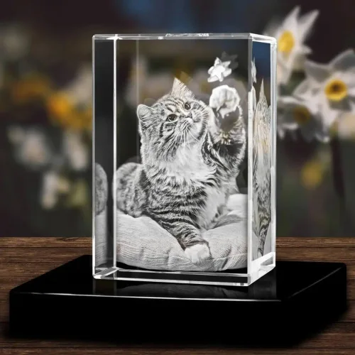 Vista 6 de Fotografía de cristal 3D personalizada grabada, marcos de fotos personalizados, álbum de fotos personalizado para mujeres, esposa, hombres, mamá, 2D